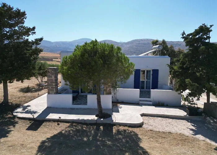 Lina's House شقة *